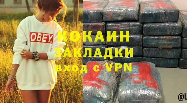крисы Гусев